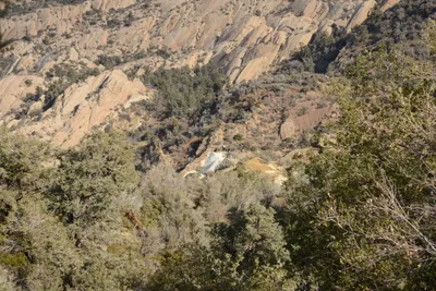 DSC_6264 (Large).JPG